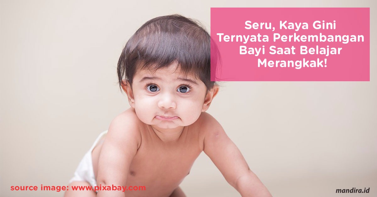 Seru, Kaya Gini Ternyata Perkembangan Bayi Saat Belajar Merangkak!